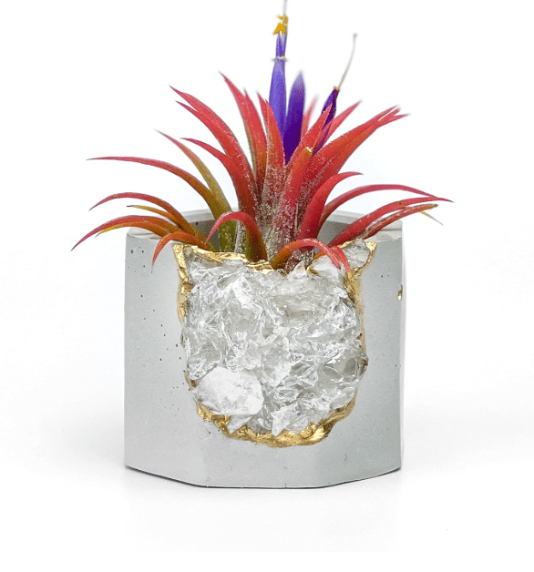 Small Crystal Planter